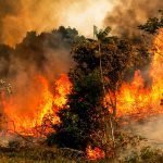 El Amazonas se quema y te contamos por qué
